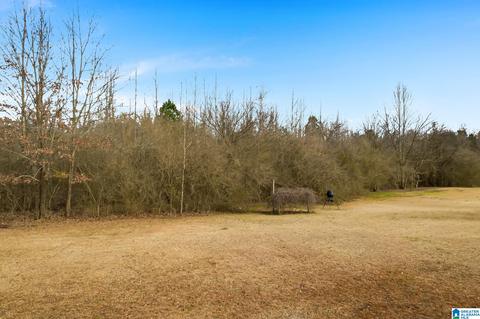 2644 Corner Rd, Warrior, AL 35180 photo 41