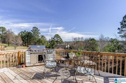 333 Ty Ln, Warrior, AL 35180 photo 2