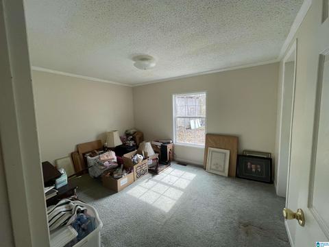 7719 Cummings Loop, Mc Calla, AL 35111 photo 13