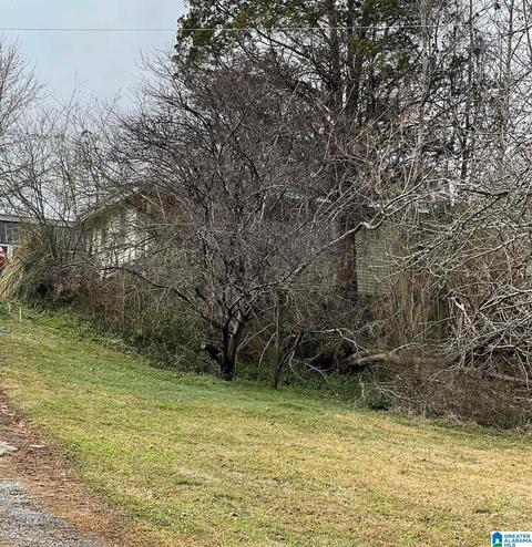 125 Ray Dr, Locust Fork, AL 35097 photo 1