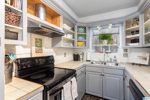 171 Sunset Blvd, Oneonta, AL 35121 photo 14