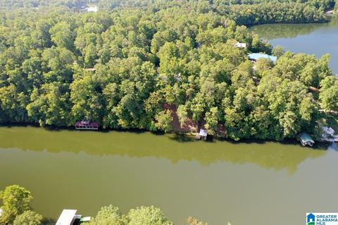 171 Sunset Blvd, Oneonta, AL 35121 photo 30