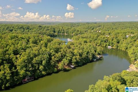 171 Sunset Blvd, Oneonta, AL 35121 photo 34