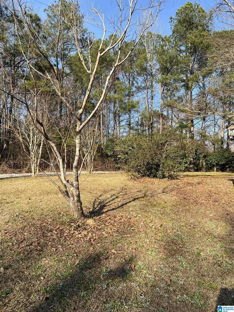 84 County Road 826, Clanton, AL 35046 photo 28