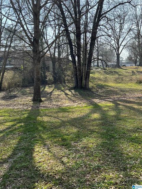 84 County Road 826, Clanton, AL 35046 photo 29