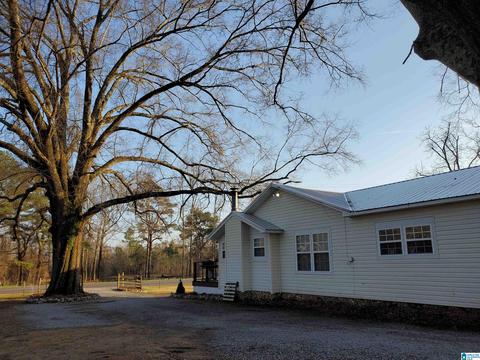 1055 Pope Ave, Steele, AL 35987 photo 24