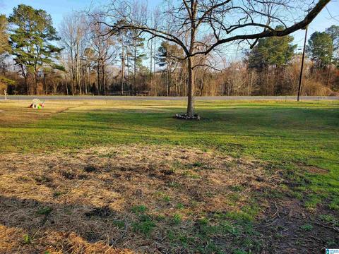 1055 Pope Ave, Steele, AL 35987 photo 19