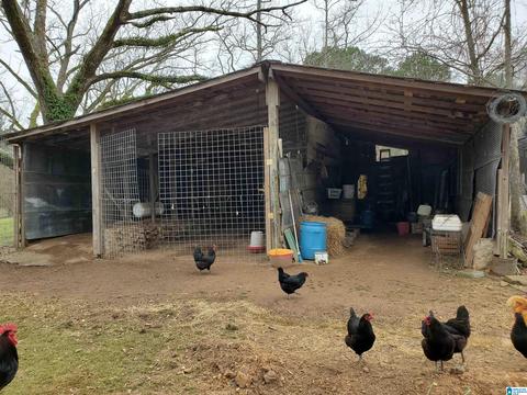 1055 Pope Ave, Steele, AL 35987 photo 22