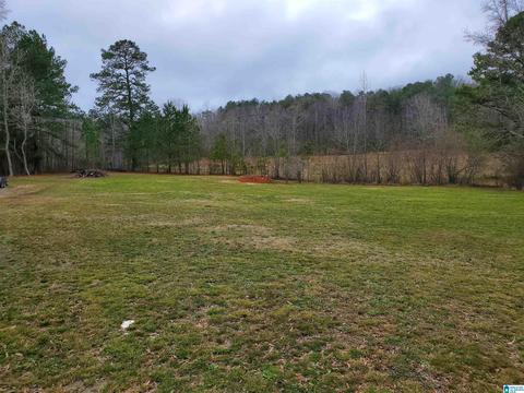 1055 Pope Ave, Steele, AL 35987 photo 21
