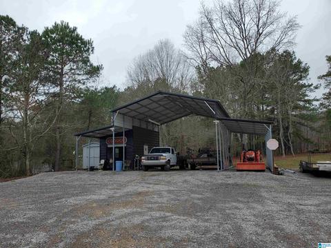 1055 Pope Ave, Steele, AL 35987 photo 18