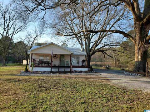 1055 Pope Ave, Steele, AL 35987 photo 1