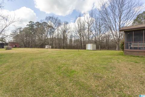 115 Thomas Rd, Sumiton, AL 35148 photo 4