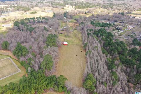 115 Thomas Rd, Sumiton, AL 35148 photo 44