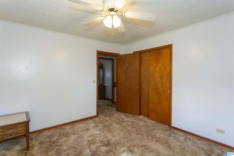 115 Thomas Rd, Sumiton, AL 35148 photo 31