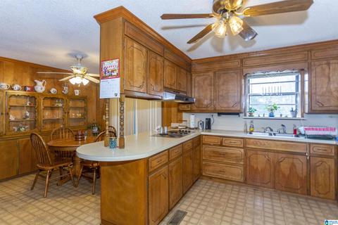 115 Thomas Rd, Sumiton, AL 35148 photo 13