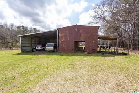 115 Thomas Rd, Sumiton, AL 35148 photo 9