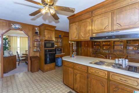 115 Thomas Rd, Sumiton, AL 35148 photo 16