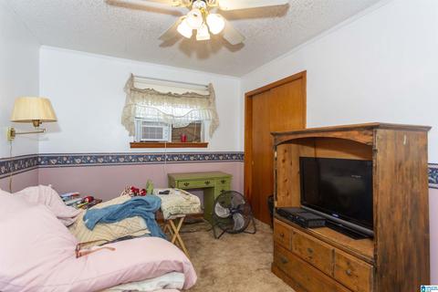 115 Thomas Rd, Sumiton, AL 35148 photo 19