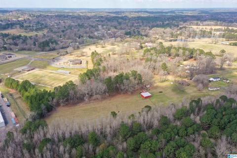 115 Thomas Rd, Sumiton, AL 35148 photo 42