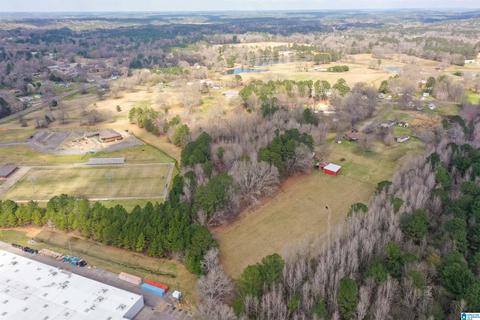 115 Thomas Rd, Sumiton, AL 35148 photo 43