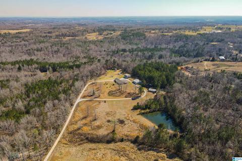 3631 County Road 69, Clanton, AL 35045 photo 9