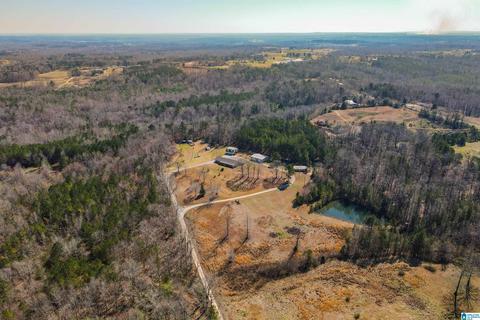 3631 County Road 69, Clanton, AL 35045 photo 8