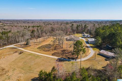3631 County Road 69, Clanton, AL 35045 photo 6