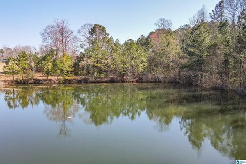 3631 County Road 69, Clanton, AL 35045 photo 12