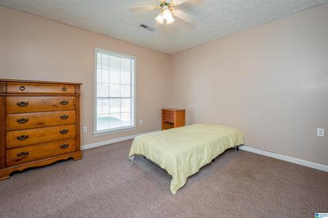 3631 County Road 69, Clanton, AL 35045 photo 47