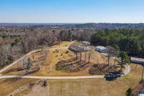 3631 County Road 69, Clanton, AL 35045 photo 11