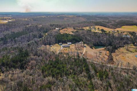 3631 County Road 69, Clanton, AL 35045 photo 7
