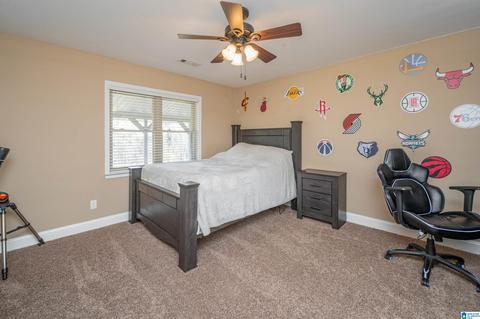 3631 County Road 69, Clanton, AL 35045 photo 31