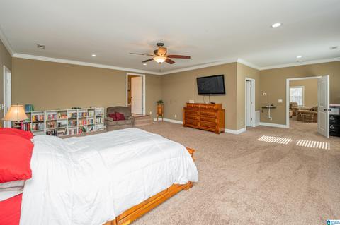 3631 County Road 69, Clanton, AL 35045 photo 25
