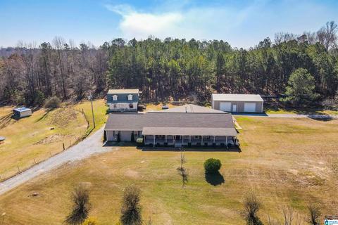 3631 County Road 69, Clanton, AL 35045 photo 4