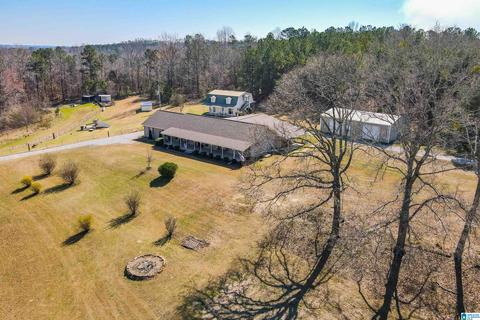 3631 County Road 69, Clanton, AL 35045 photo 10