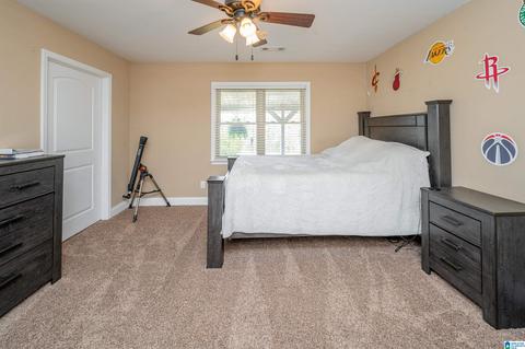 3631 County Road 69, Clanton, AL 35045 photo 32