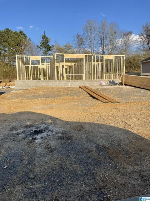 57 Trinity Ln, Oneonta, AL 35121 photo 1