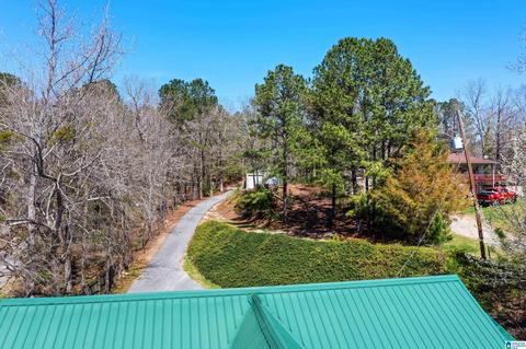 566 County Road 199, Clanton, AL 35046 photo 11