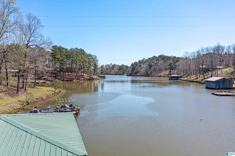 566 County Road 199, Clanton, AL 35046 photo 7