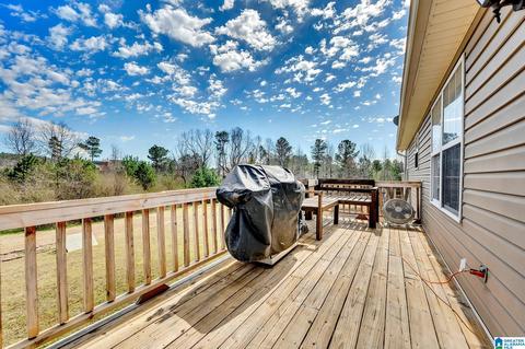 121 Miranda Rd, Warrior, AL 35180 photo 8