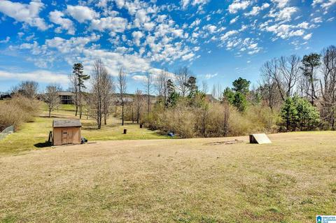 121 Miranda Rd, Warrior, AL 35180 photo 5