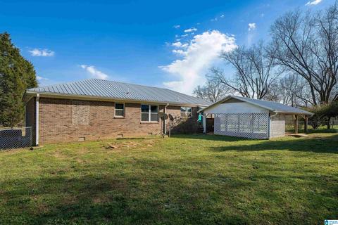 4255 Pope Ave, Steele, AL 35987 photo 22