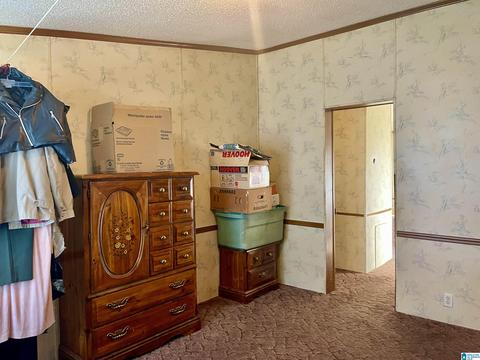 8418 River Rd, Warrior, AL 35180 photo 15