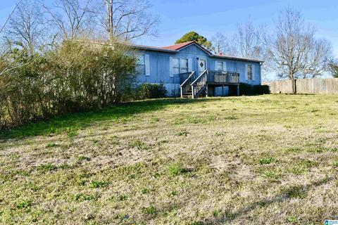 8418 River Rd, Warrior, AL 35180 photo 3