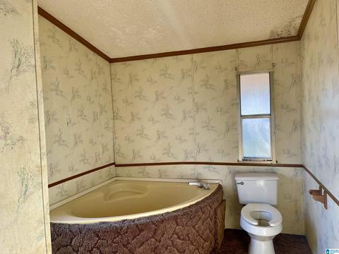 8418 River Rd, Warrior, AL 35180 photo 16