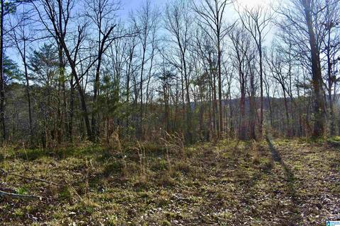 8418 River Rd, Warrior, AL 35180 photo 11