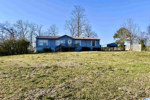 8418 River Rd, Warrior, AL 35180 photo 4