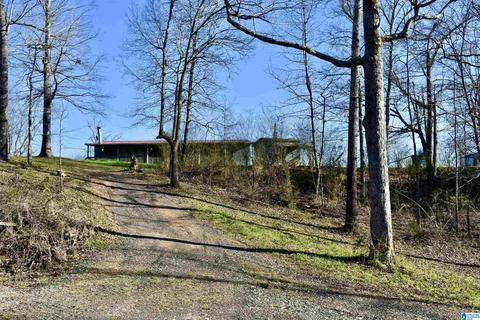 8418 River Rd, Warrior, AL 35180 photo 8