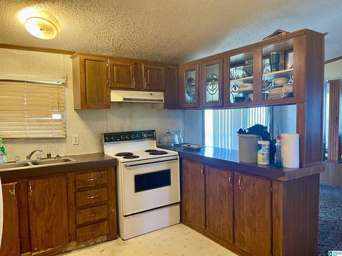 8418 River Rd, Warrior, AL 35180 photo 29