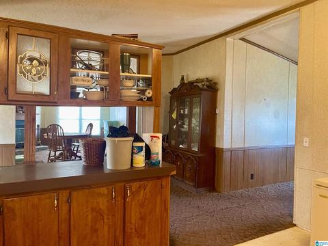 8418 River Rd, Warrior, AL 35180 photo 32